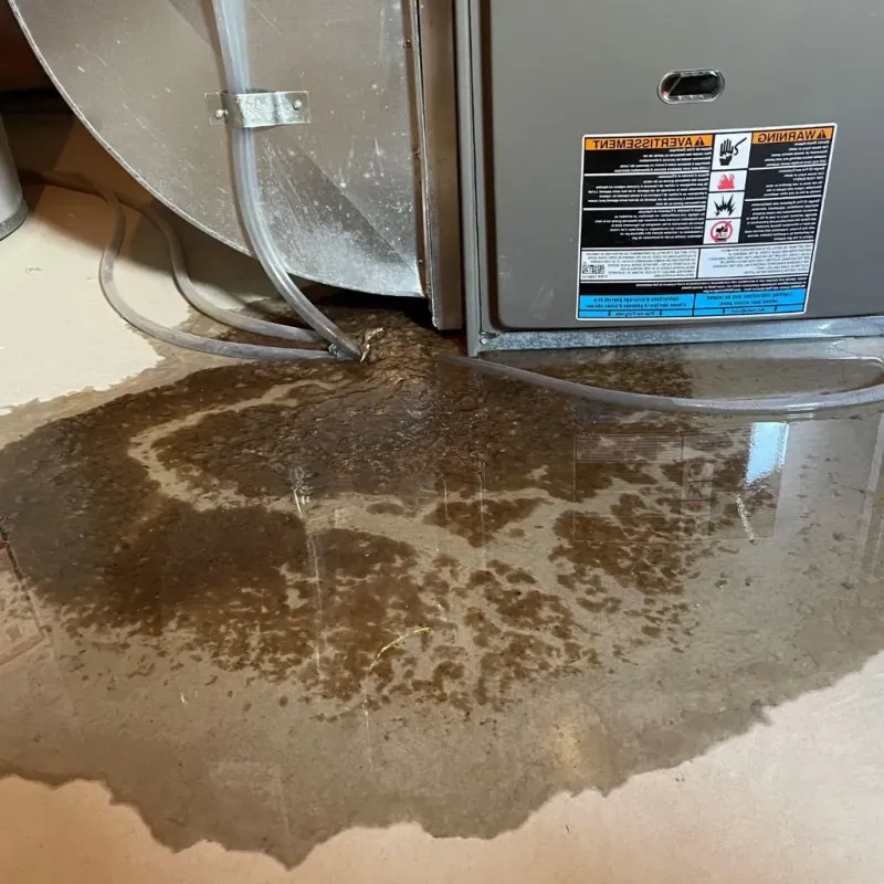 Pipe Burst and Leak Restoration in Sun Village, CA
